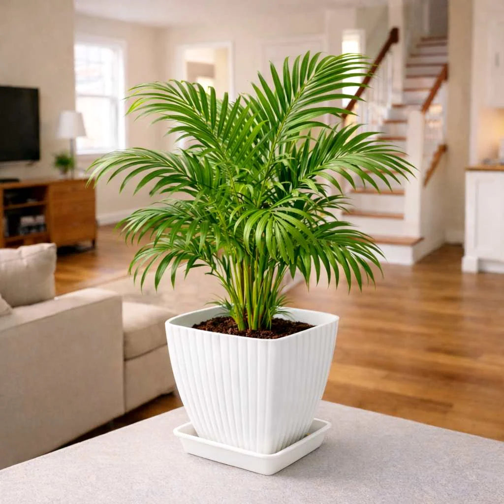 Grozaro Modern Ribbed Square Planter Pots with Drainage Tray (5 Pcs Set)